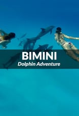 Force-E Scuba Centers Bimini - Dolphin Adventure