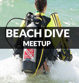 Force-E Scuba Centers Beach Dive Meetup