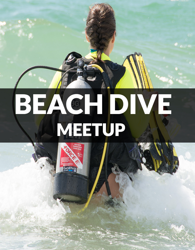 Beach Dive Meetup ForceE Scuba Centers