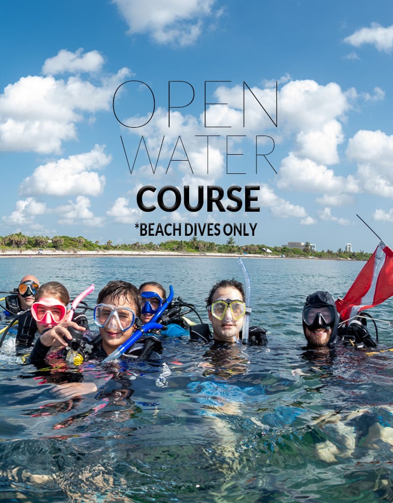 Force-E Scuba Centers Class Open Water- Shore Dives ONLY