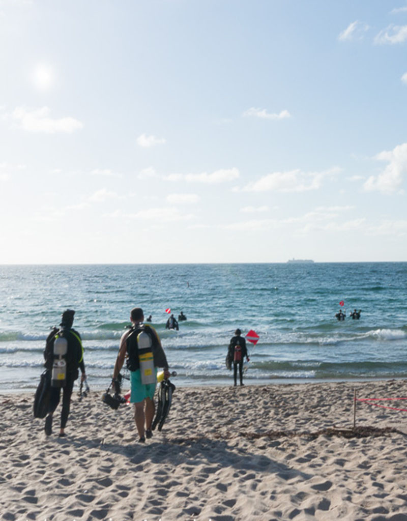 Force-E Scuba Centers Class Open Water- Shore Dives ONLY