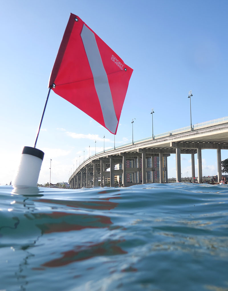 Force-E Scuba Centers Class Open Water- Shore Dives ONLY