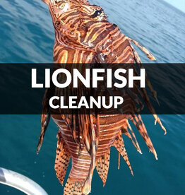 Force-E Scuba Centers Lionfish CleanUp