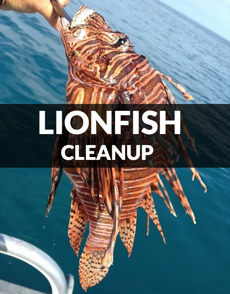 Force-E Scuba Centers Lionfish CleanUp