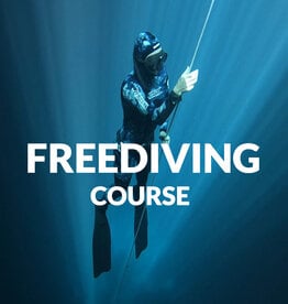 Force-E Scuba Centers Class Basic Freediver