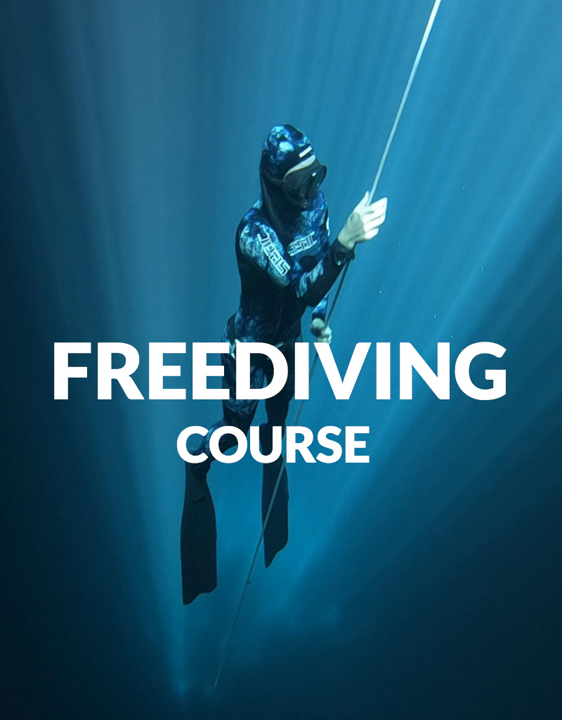 Force-E Scuba Centers Class Basic Freediver