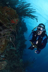 Force-E Scuba Centers Bonaire Trip