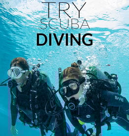 Force-E Scuba Centers Try Scuba Diving - Website
