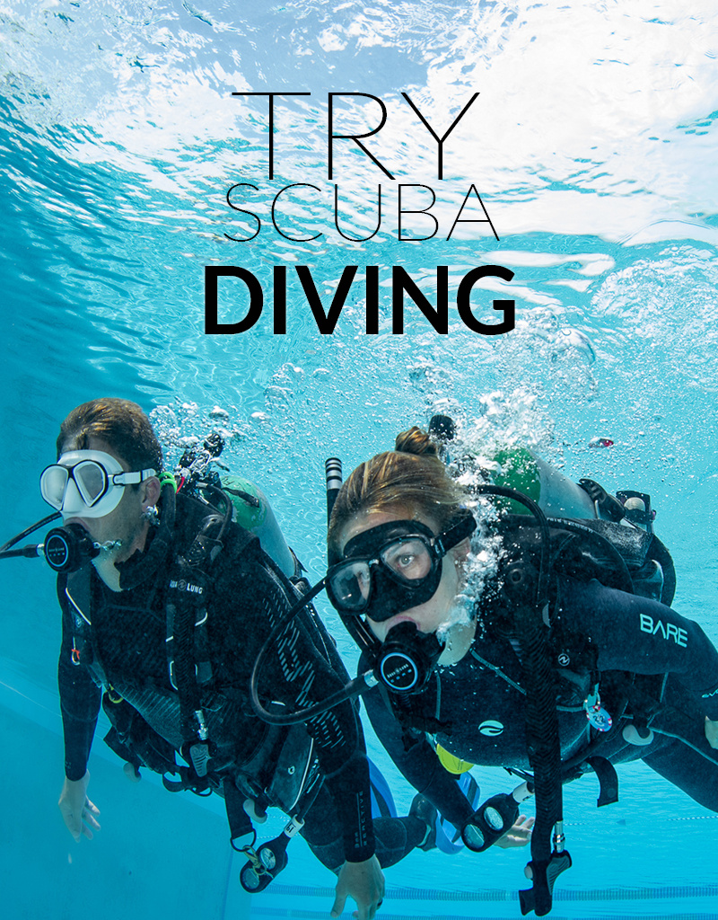 Try Scuba Diving - Website