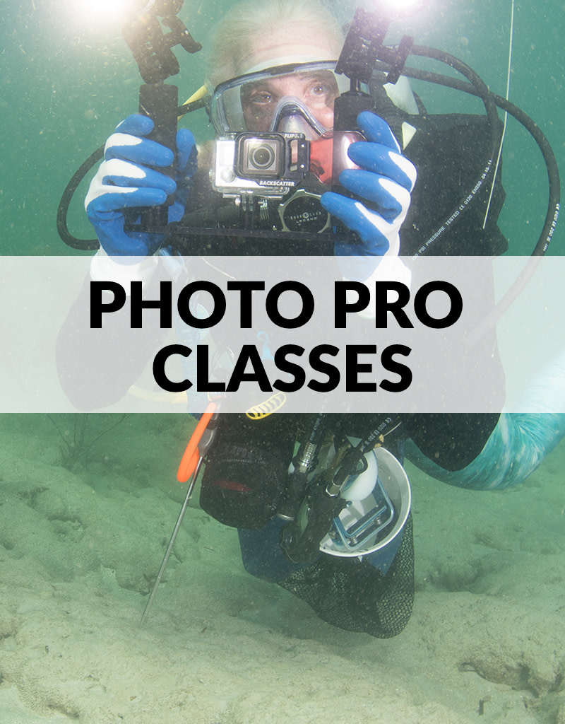 Force-E Scuba Centers Photo Pro Photography Classes