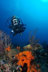 Force-E Scuba Centers Class Advanced Open Water ( Group Dates)