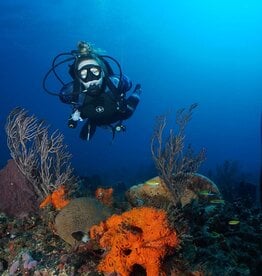 Force-E Scuba Centers Class Advanced Adventure ( Group Dates)