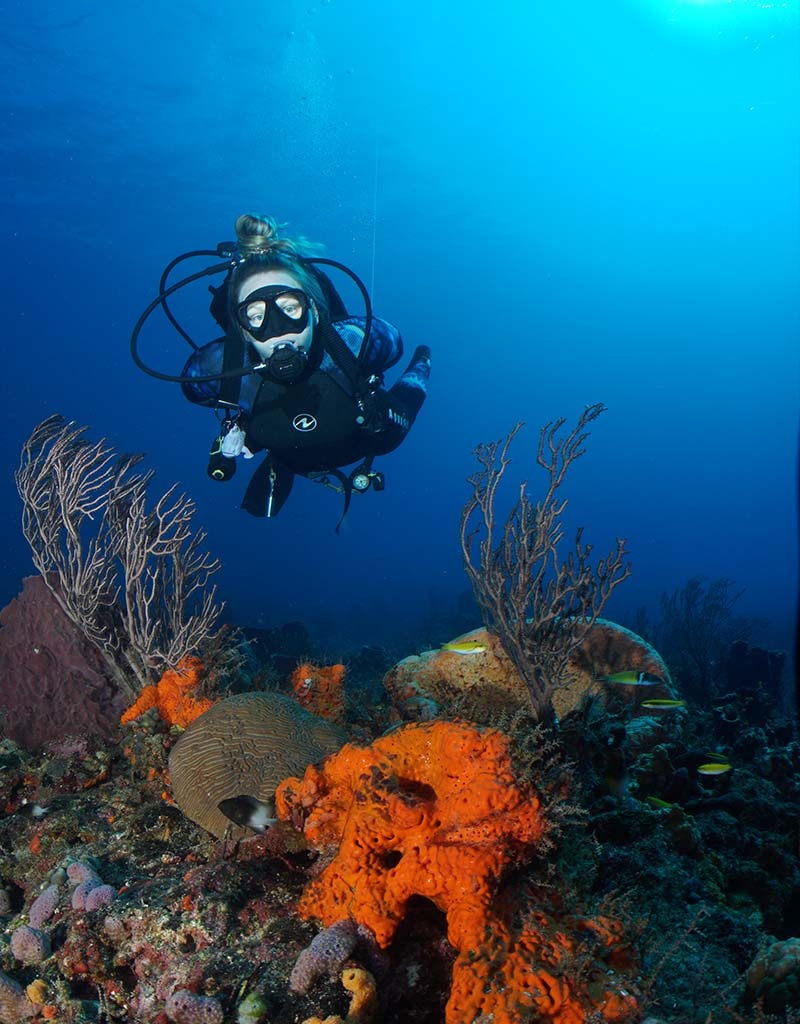Force-E Scuba Centers Class Advanced Open Water ( Group Dates)