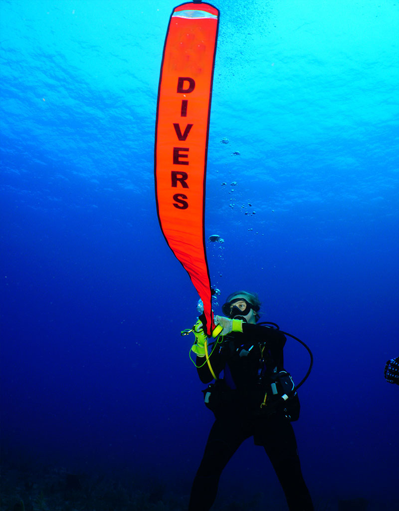 Force-E Scuba Centers Class Advanced Open Water ( Group Dates)