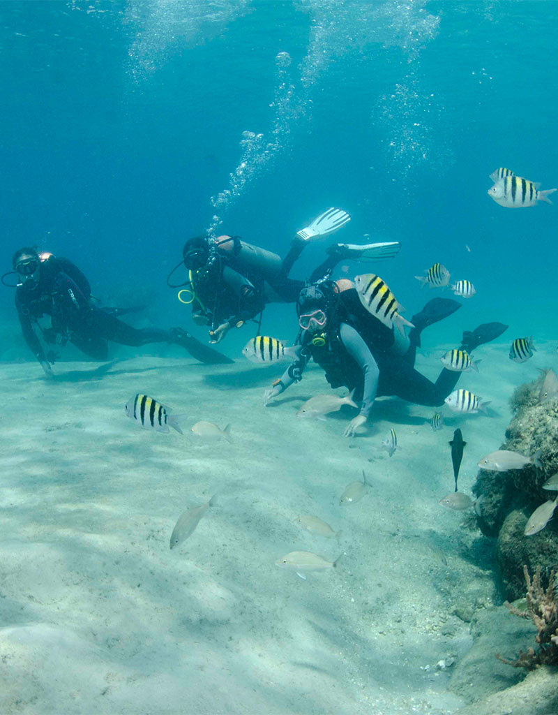 Force-E Scuba Centers Blue Heron Bridge Group Meetup