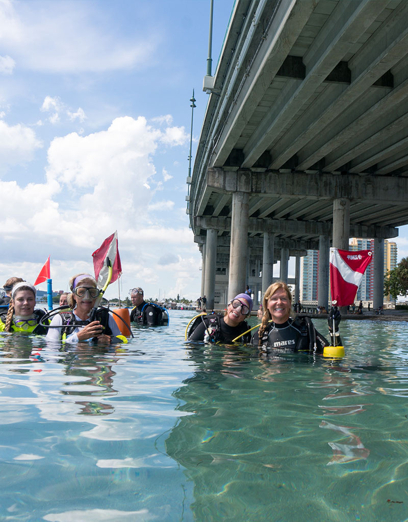 Force-E Scuba Centers Blue Heron Bridge Group Meetup