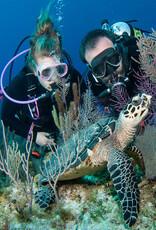 Force-E Scuba Centers Little Cayman Dive Trip Dec 7-14 2024