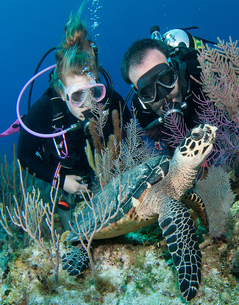 Force-E Scuba Centers Little Cayman Dive Trip Dec 7-14 2024