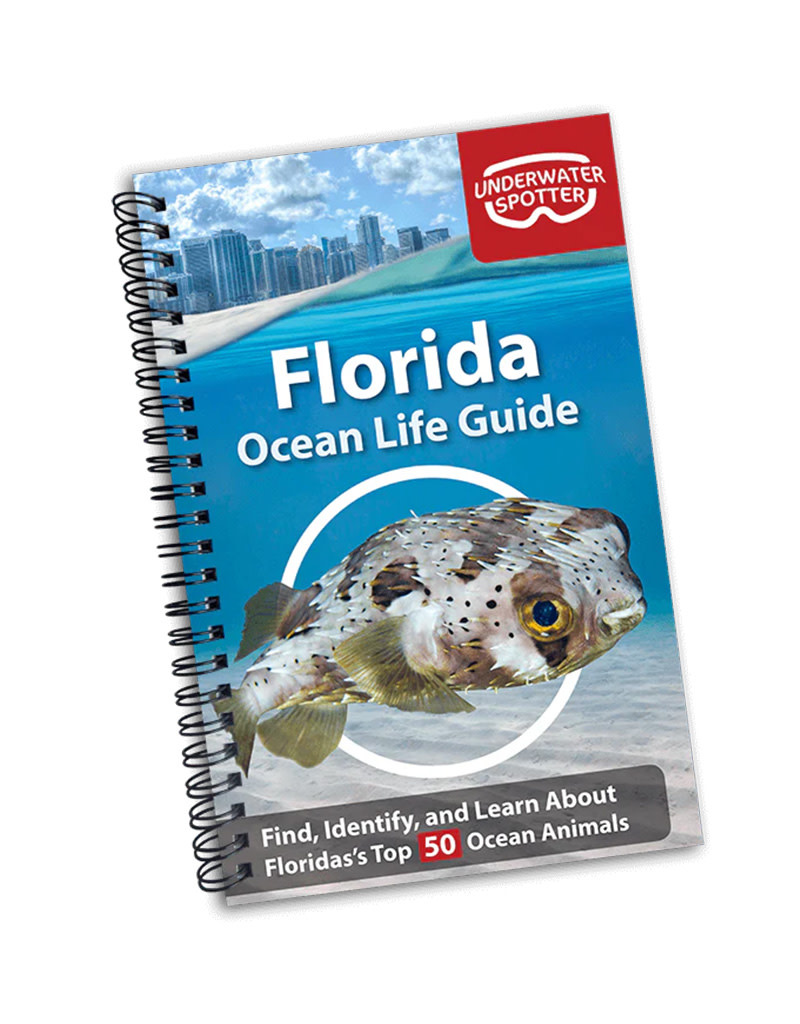 Underwater Spotter Underwater Spotter Florida Ocean Life Guide Book