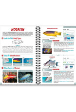 Underwater Spotter Underwater Spotter Florida Ocean Life Guide Book