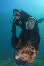 Force-E Scuba Centers BUGFEST