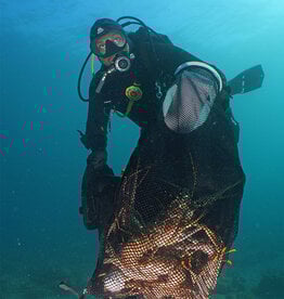 Force-E Scuba Centers BUGFEST