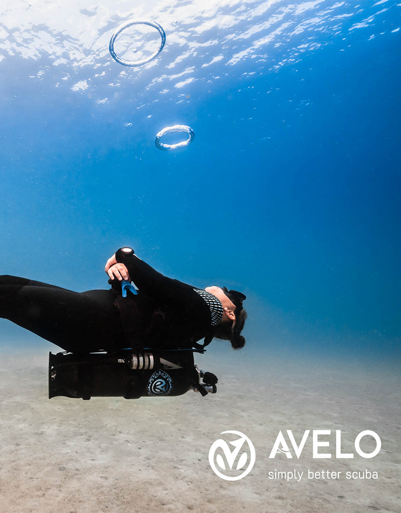 Force-E Scuba Centers Recreational Avelo Diver Course