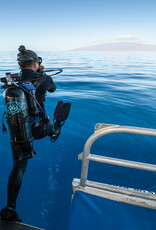 Force-E Scuba Centers Recreational Avelo Diver Course