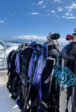Force-E Scuba Centers Recreational Avelo Diver Course