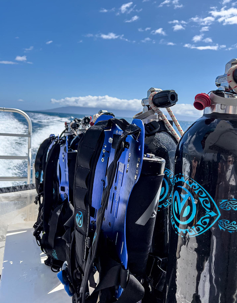 Force-E Scuba Centers Recreational Avelo Diver Course