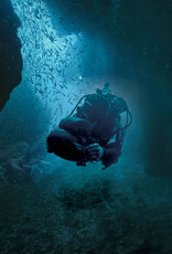 Sublue US Inc Sublue Vapor Scooter