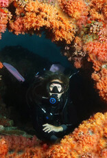 Force-E Scuba Centers Maldives Manthiri Liveaboard