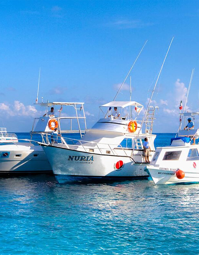 Force-E Scuba Centers Ultimate Mexico Dive Trip! Cozumel, Whale Sharks, Cenotes