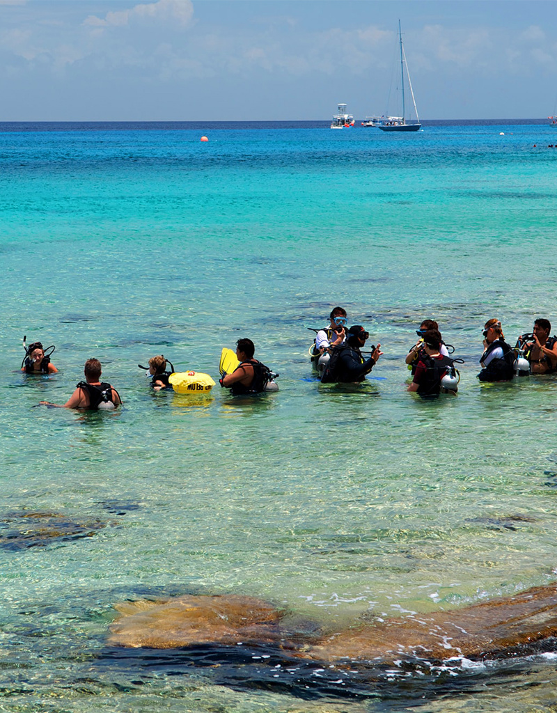 Force-E Scuba Centers Ultimate Mexico Dive Trip! Cozumel, Whale Sharks, Cenotes