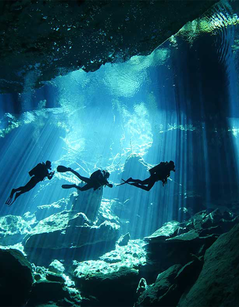 Force-E Scuba Centers Ultimate Mexico Dive Trip! Cozumel, Whale Sharks, Cenotes