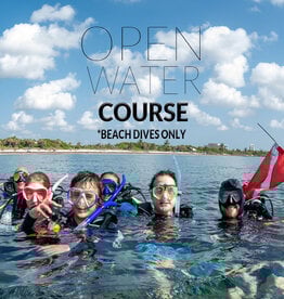 Force-E Scuba Centers Class Open Water- Shore Dives ONLY