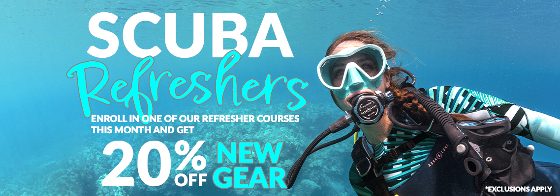 Refreshers