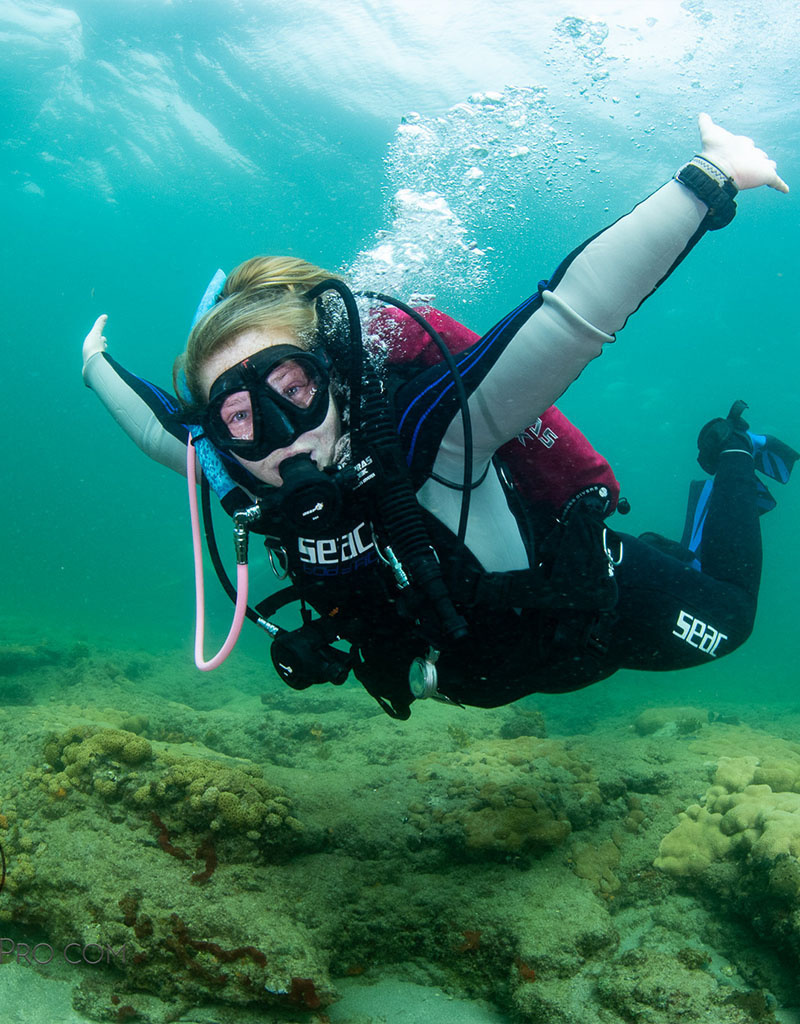 Force-E Scuba Centers Class Referral