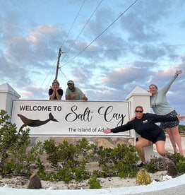 Force-E Scuba Centers Salt Cay Humpback Whale Trip