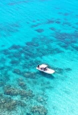 Force-E Scuba Centers Salt Cay Humpback Whale Trip