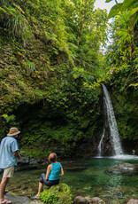 Force-E Scuba Centers Dominica Diving & Whales 2025