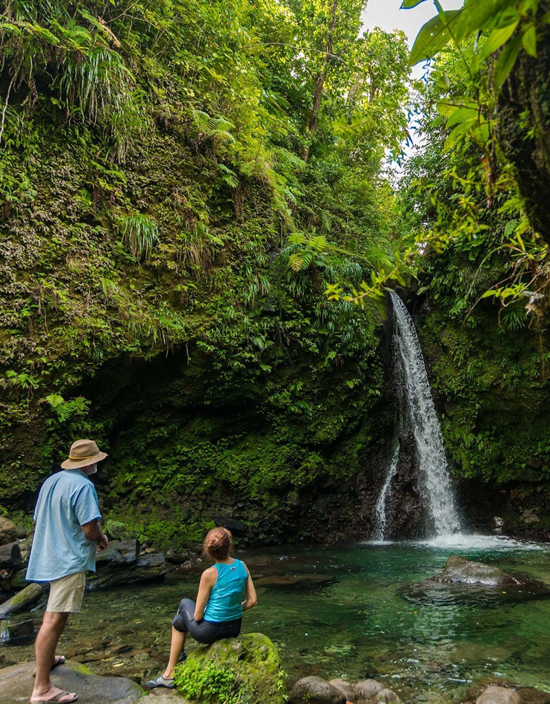 Force-E Scuba Centers Dominica Diving & Whales 2025