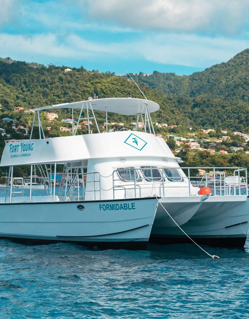 Force-E Scuba Centers Dominica Diving & Whales 2025