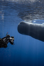 Force-E Scuba Centers Dominica Diving & Whales 2025