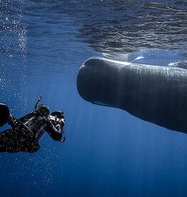 Force-E Scuba Centers Dominica Diving & Whales 2025