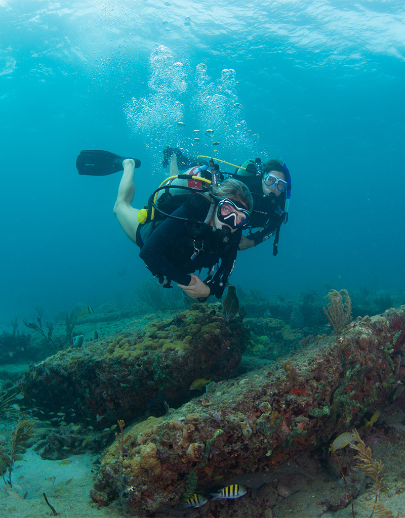 Force-E Scuba Centers Weekend Dive Package