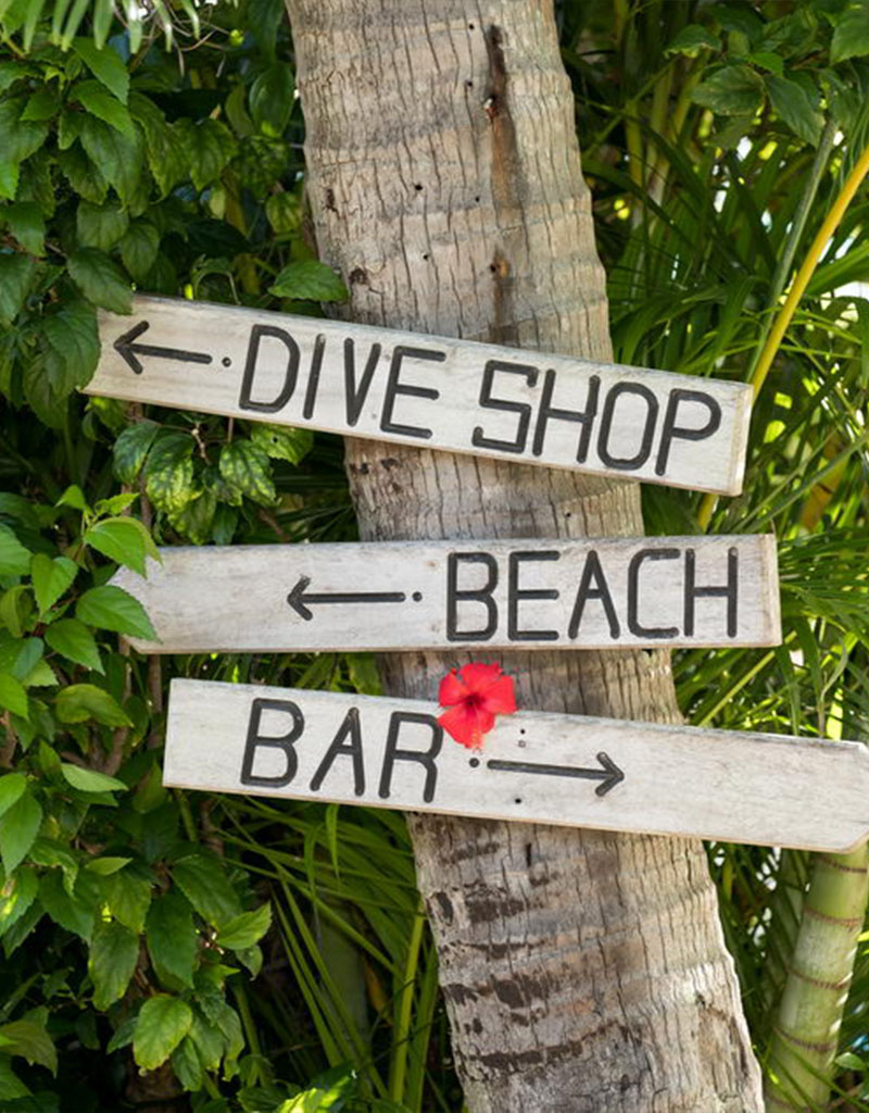 Force-E Scuba Centers Fiji Dive Trip VoliVoli Resort