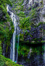 Force-E Scuba Centers Fiji Dive Trip VoliVoli Resort