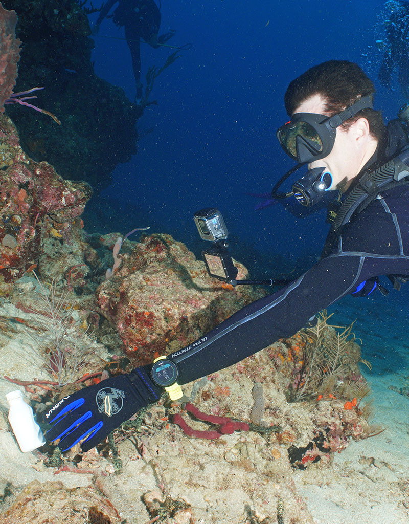 Force-E Beach Sweep Cleanup Dive