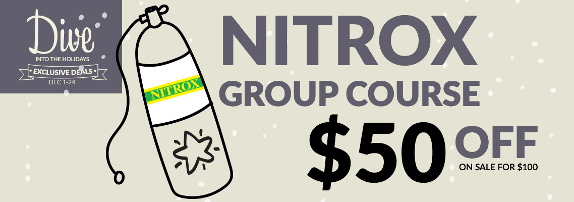 Holiday NX Class Deal